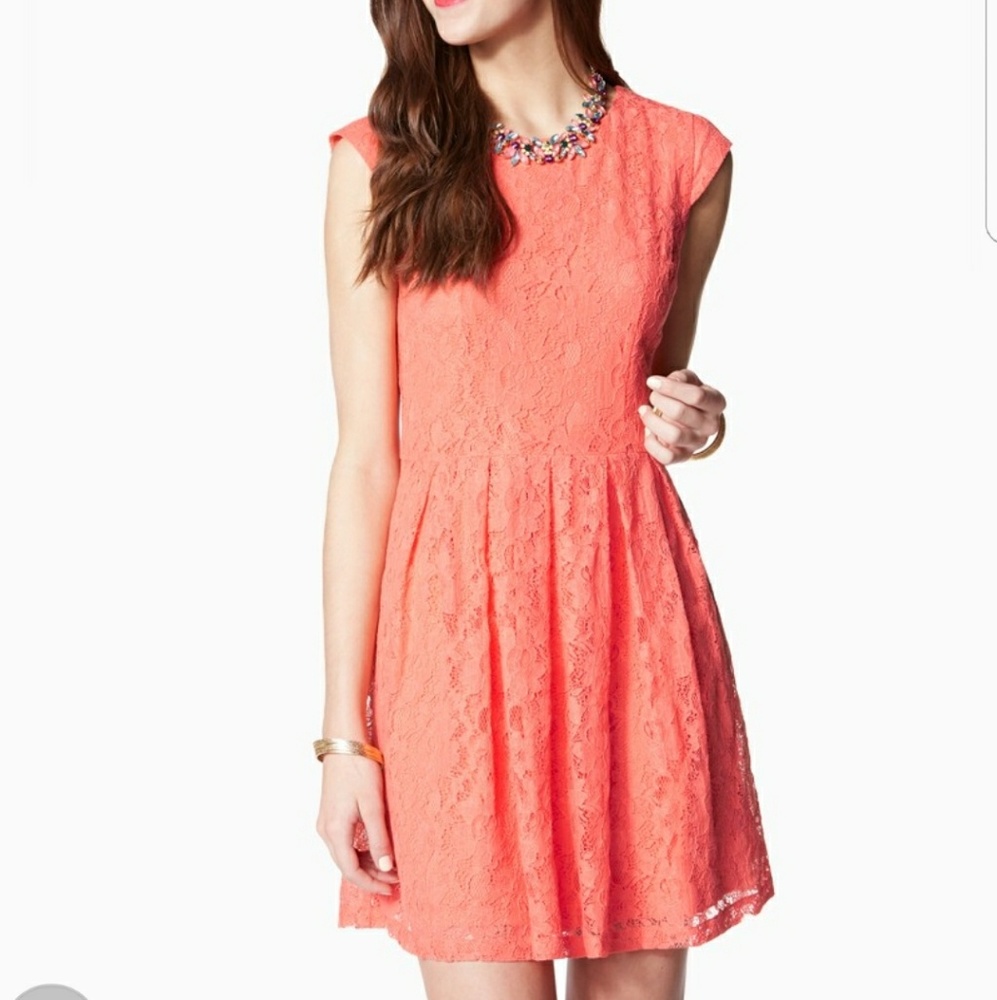 NWT Fit & Flare Coral Lace Dress (S)