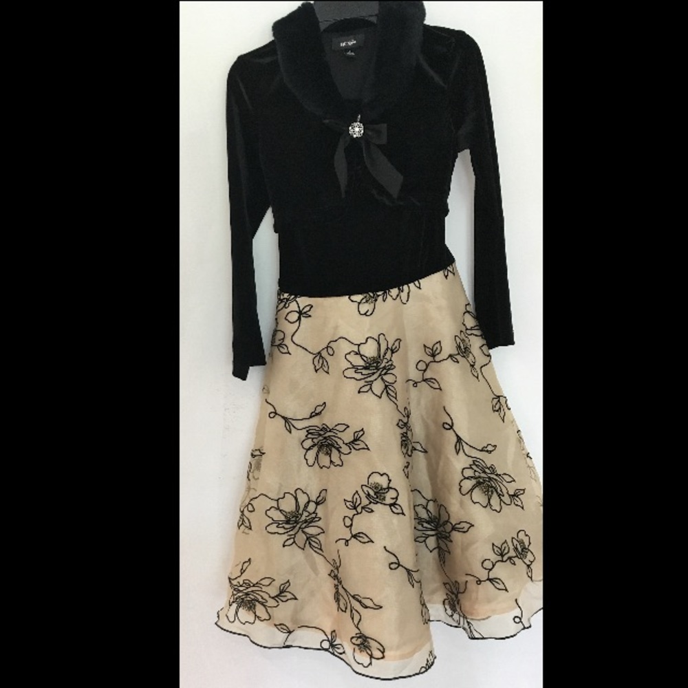 Stunning winter dress