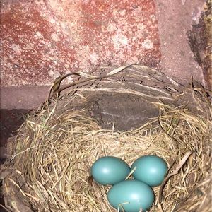 Meet your Posher, Carol