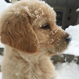 Meet your Posher, Maria