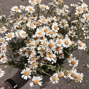 Meet your Posher, Carly