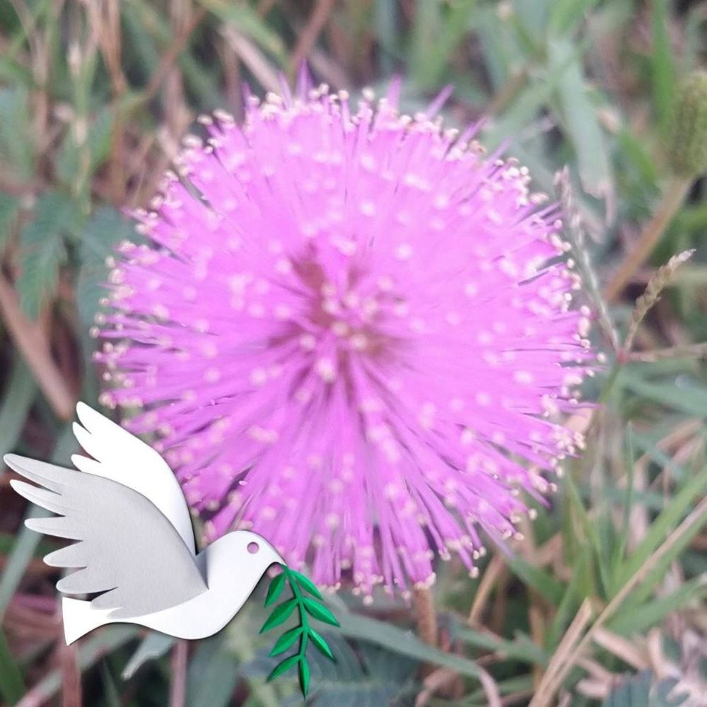 Meet your Posher, Melinda