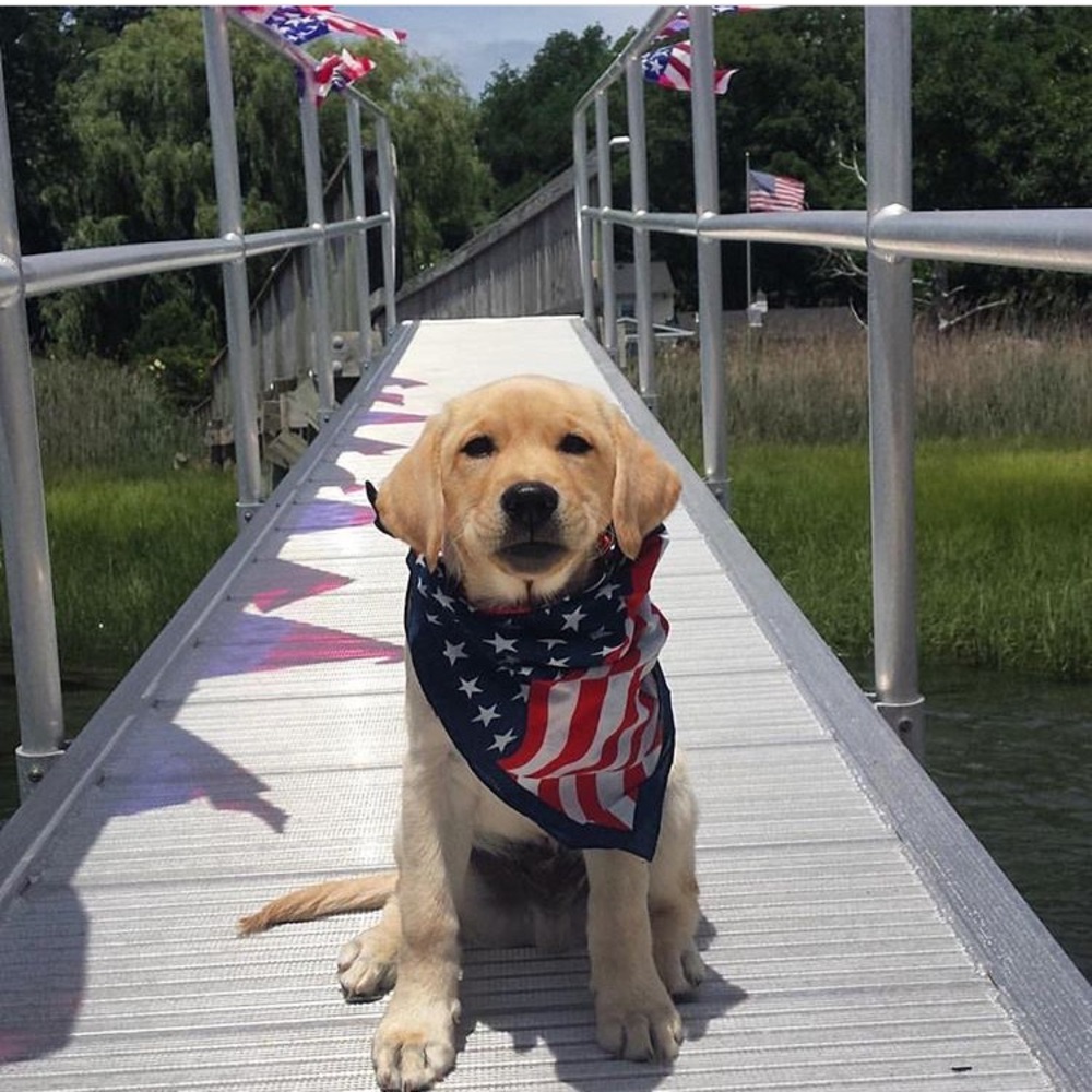 Meet your Posher, Liv