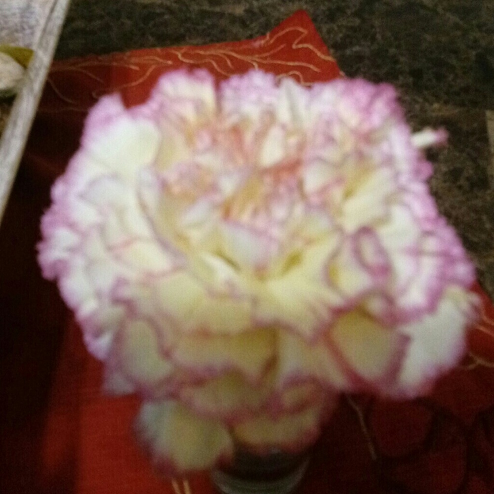 Meet your Posher, Monica