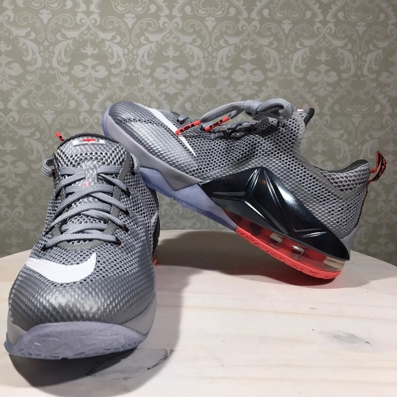 Nike Other - Lebron James XII Wolf Grey White 744547-014 6.5Y