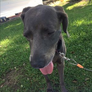 Meet your Posher, Miranda