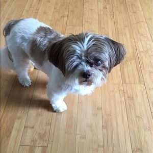 Meet your Posher, Christine