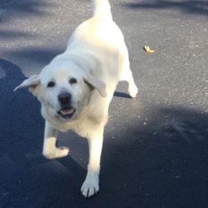 Meet your Posher, Makayla