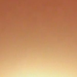 Meet your Posher, Janis