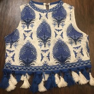 Blue and White Tassel Crop Top NWOT