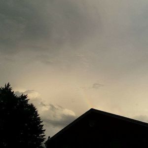 Meet your Posher, Wayne