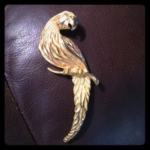 Parrot Fashion Pin