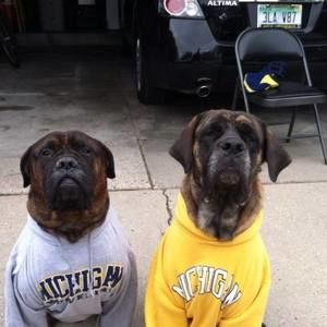 Meet your Posher, Dan