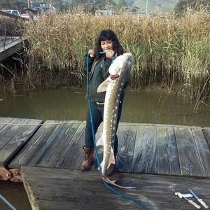 Meet your Posher, Renee