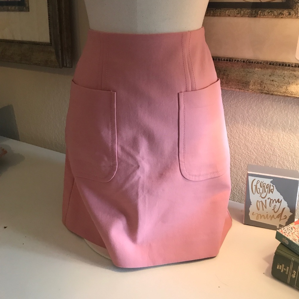 NWT Light Pink Loft Skirt