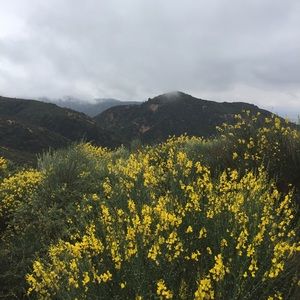 Meet your Posher, Lexi