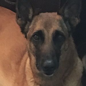 Meet your Posher, Jen