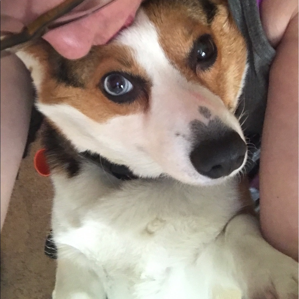 Meet your Posher, Jackie