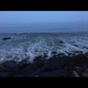 Meet your Posher, Addie