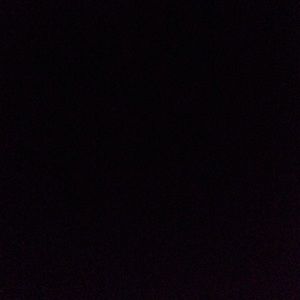 Meet your Posher, Lilly