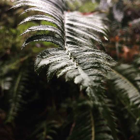 Meet Your Posher, Rebecca - Picture 2 of 4