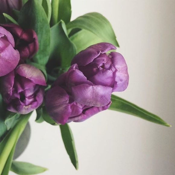 Meet Your Posher, Rebecca - Picture 4 of 4