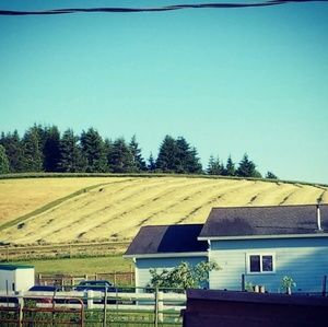 Meet your Posher, Krystal