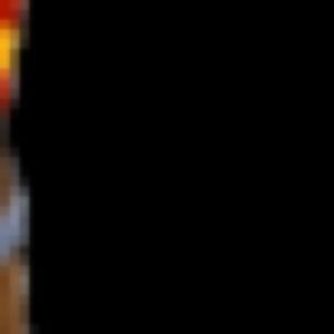 Meet your Posher, Finch