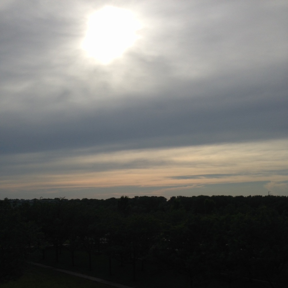 Meet your Posher, Maddie