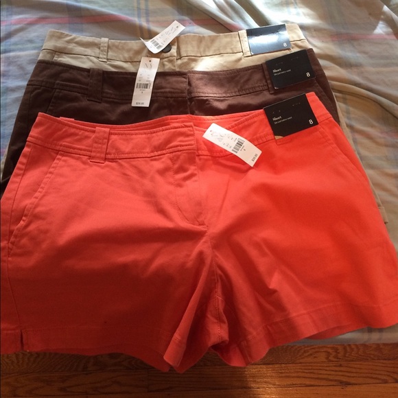 New York & Company Pants - Timeless cute and comfortable shorts