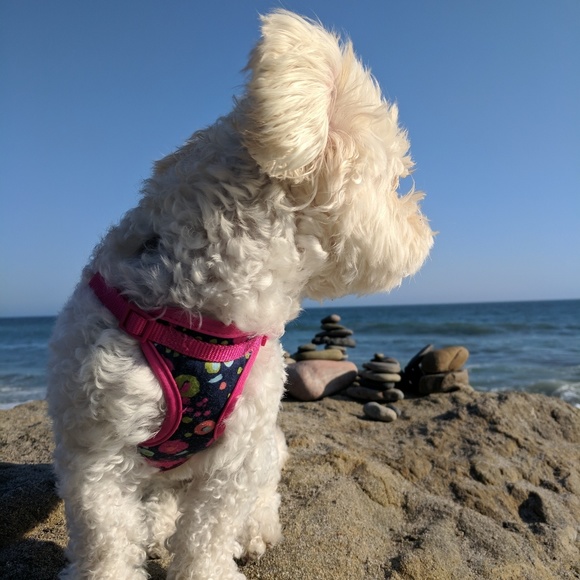 Meet your Posher, Katherine - Picture 2 of 4