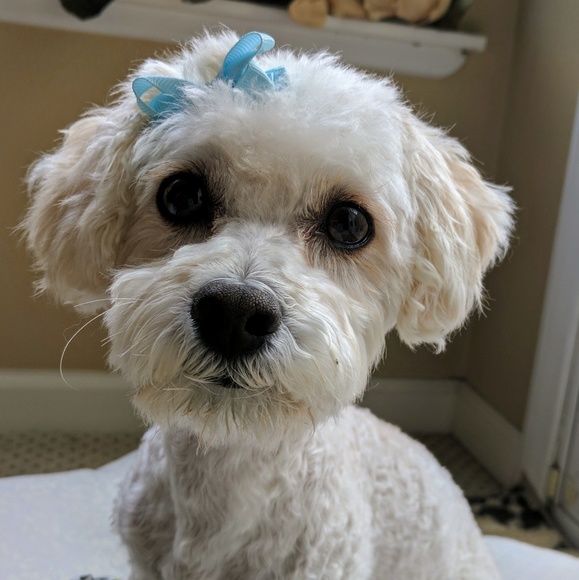 Meet your Posher, Katherine - Picture 3 of 4