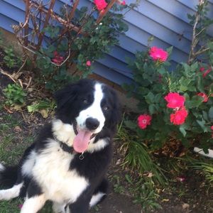 Meet your Posher, Natalie