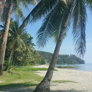 Meet your Posher, Jane