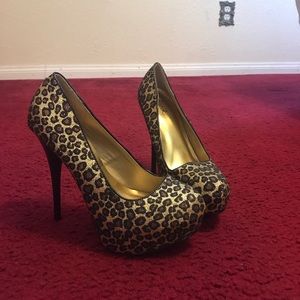 Cheetah pumps