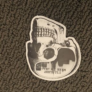 Skull sticker