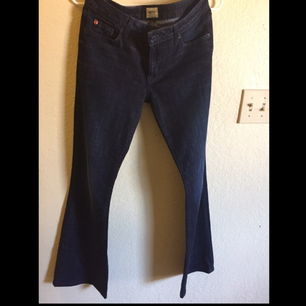 Hudson Dark Washed Flared Jeans / size 27