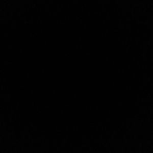 Meet your Posher, Amia