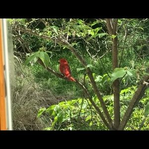 Meet your Posher, Ellen