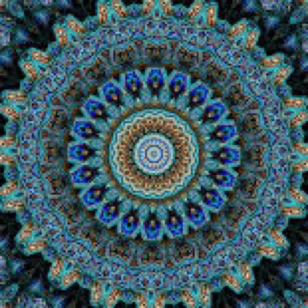 Meet your Posher, Annelise