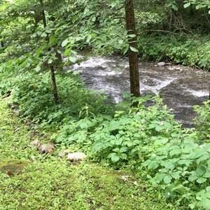 Meet your Posher, Tom