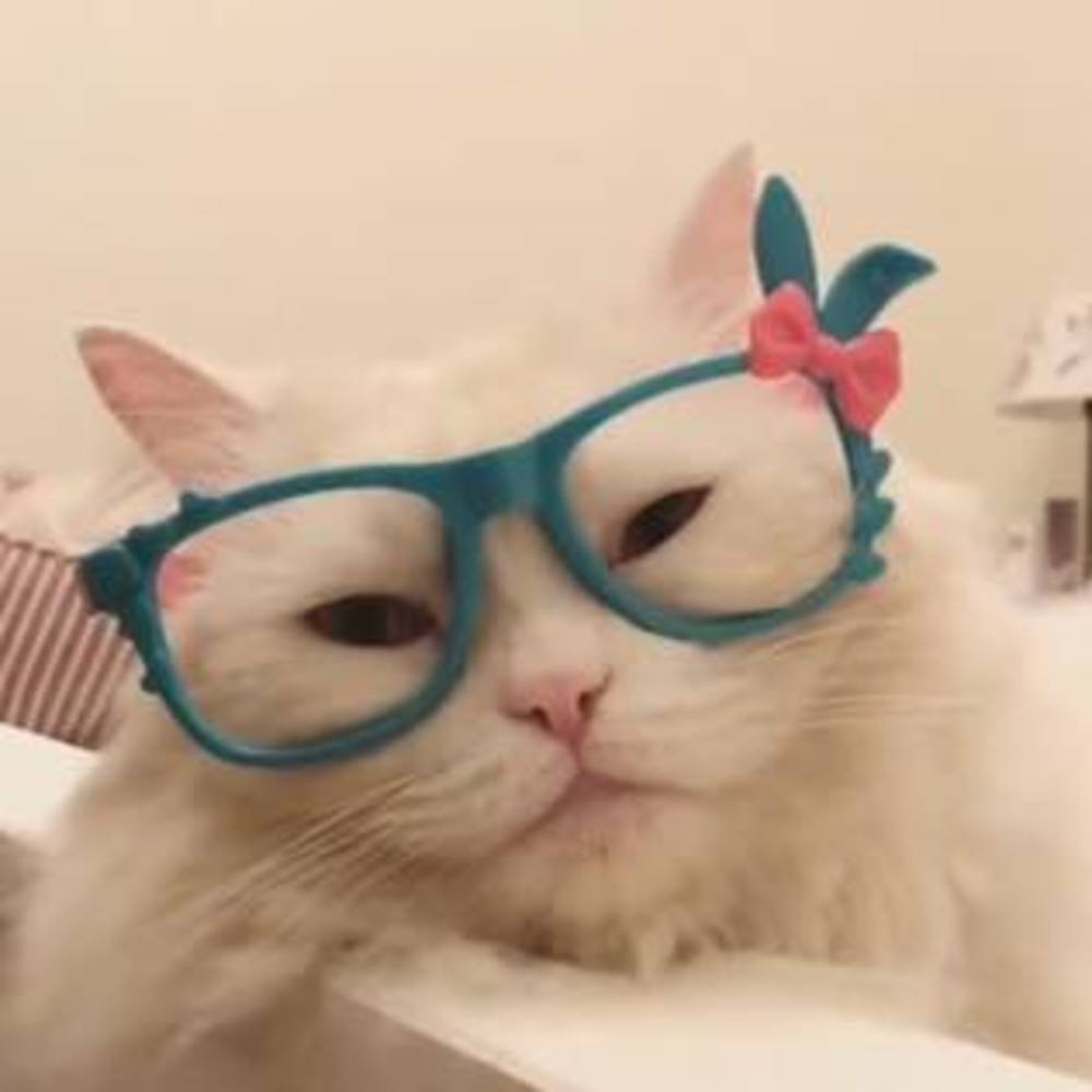 Meet your Posher, Sue