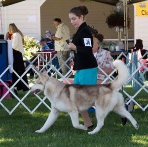 Meet your Posher, Cindy