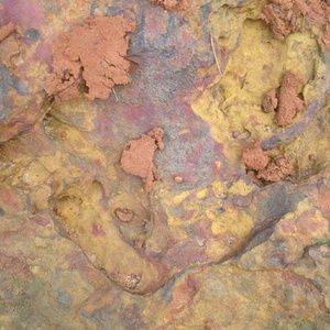 Meet your Posher, Dee