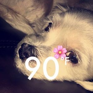 Meet your Posher, Adela