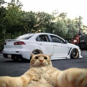 Meet your Posher, Carlos