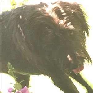 Meet your Posher, Razi