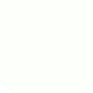 Meet your Posher, Aaliyah