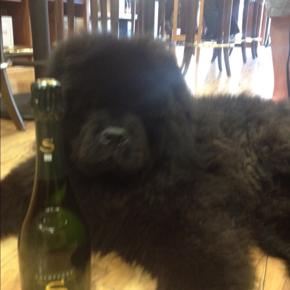 Meet your Posher, Katherine