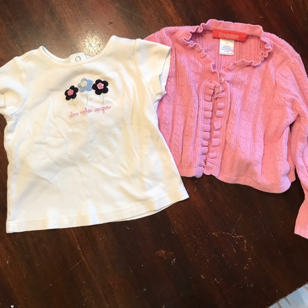 Gymboree "Love Makes Us Grow" set, 2T